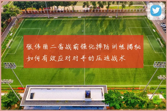 张伟丽二番战前强化摔防训练揭秘如何有效应对对手的压迫战术
